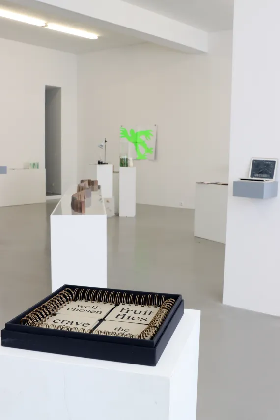 Ausstellung „Artists as Independent Publishers“ im  Künstlerbuchzentrum Museum Weserburg Bremen