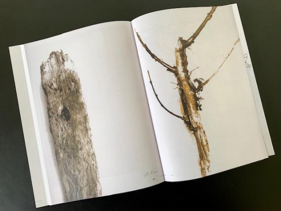 Beitrag Marion Bösen (Bremen)