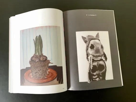 Beitrag C. A. Wertheim (Amsterdam)