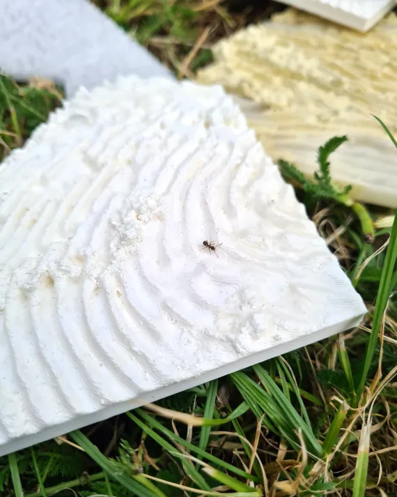 balance | kai balthasar wittig