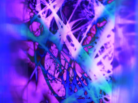 infra_social kai balthasar wittig