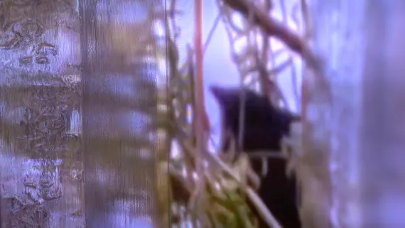 infra_social kai balthasar wittig