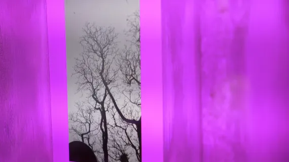 infra_social kai balthasar wittig