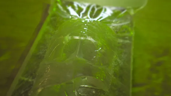 tridacten_star_404 kai balthasar wittig