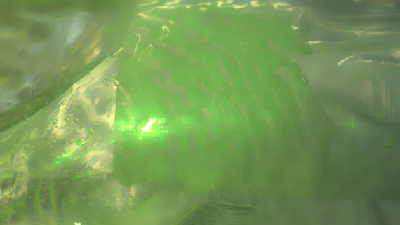 tridacten_star_404 kai balthasar wittig