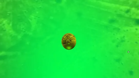 tridacten_star_404 kai balthasar wittig