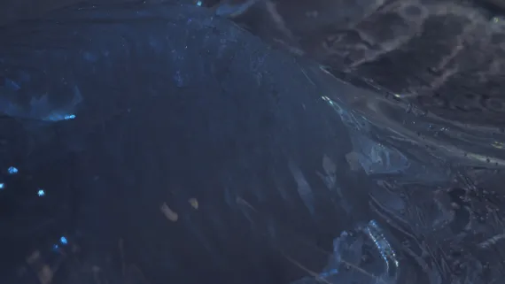 tridacten_star_404 kai balthasar wittig