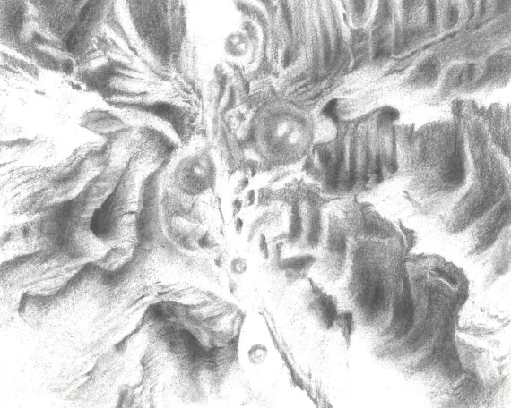 -Untitled 19- x 20 - Charcoal and pencil on paper - 2022