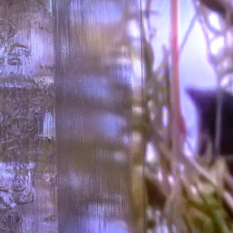 infra_social kai balthasar wittig