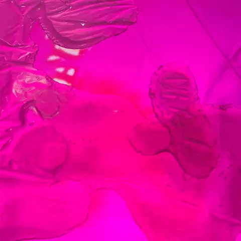 experiments kai balthasar wittig