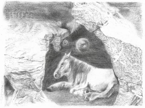 Untitled 18- x 14 - Charcoal and pencil on paper - 2022