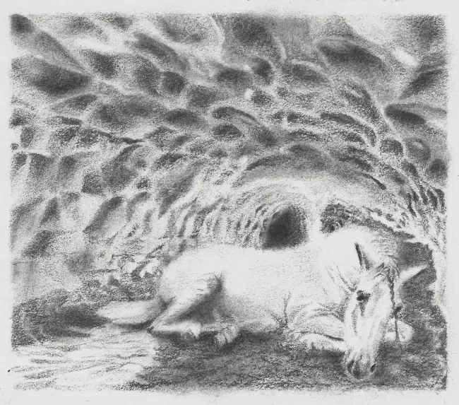 -Untitled 13- x 15 - Charcoal and pencil on paper - 2022 