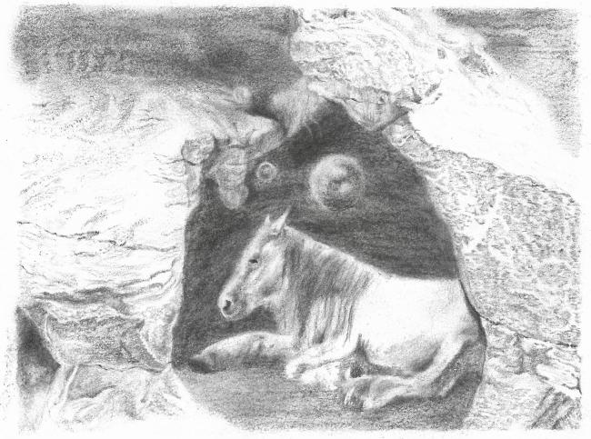 Untitled 18- x 14 - Charcoal and pencil on paper - 2022